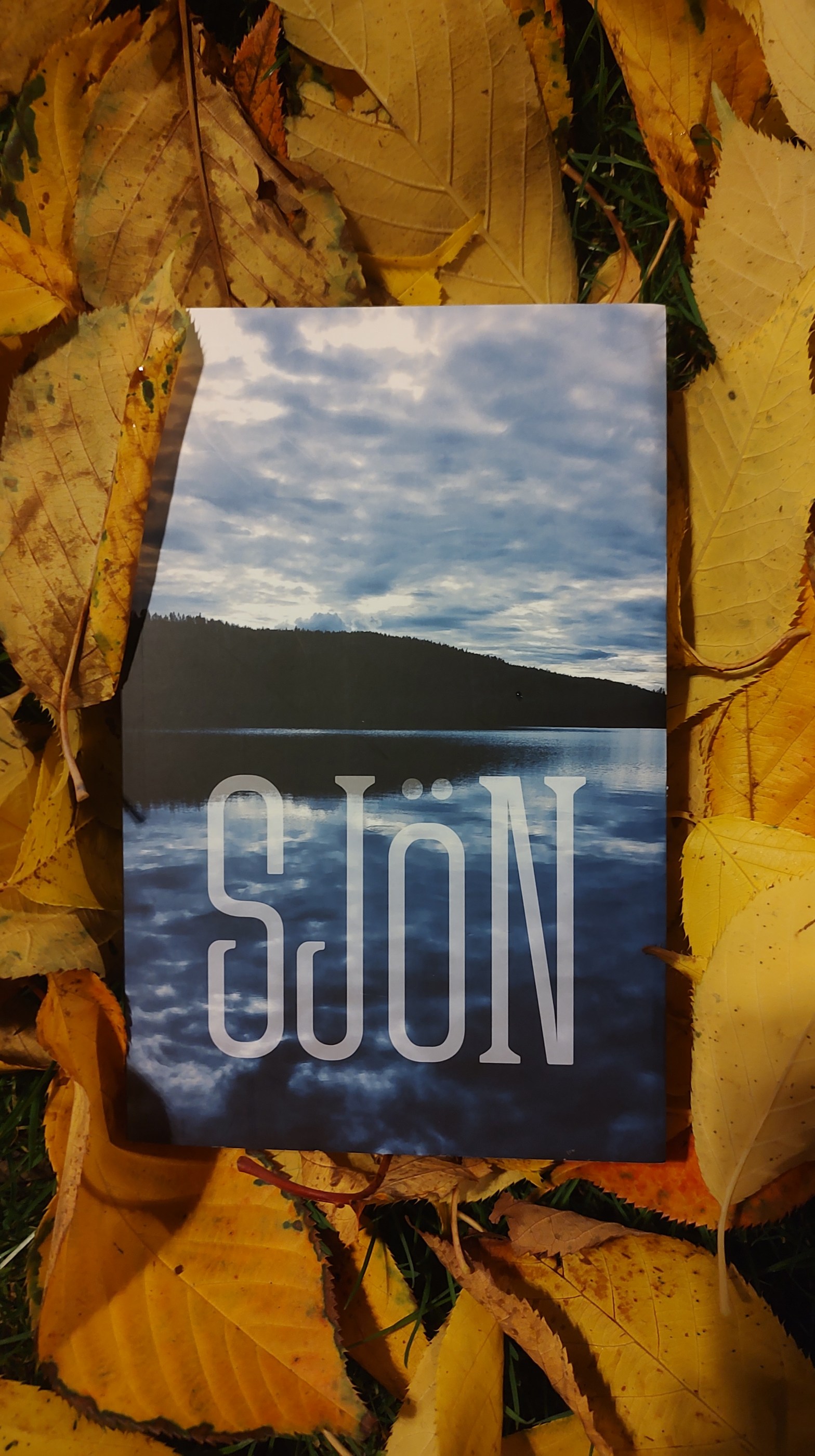 Foto av boken Sjön bland höstlöv